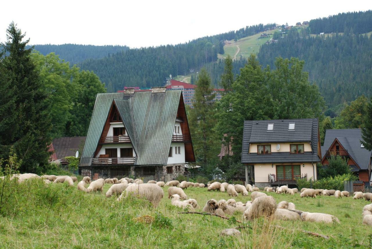 Domek Na Wierchu I Apartament Na Wierchu Zakopane Exterior photo